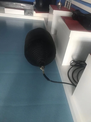 D1M*EL12M W-type rubber fender voor brugbescherming 6-8 jaar