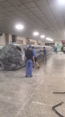 1m 30m Lengte Airbag van hoge duurzaamheid van maritiem rubber voor de maritieme industrie en scheepsreddingsoplossingen